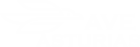 AVE ASTURIAS
